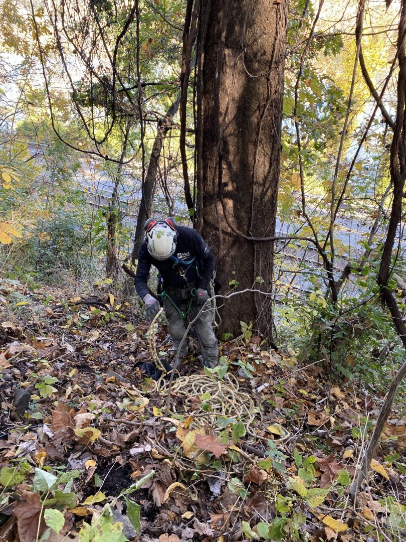 US Steel Bald Eagle Cam Install – PixCams, Inc.