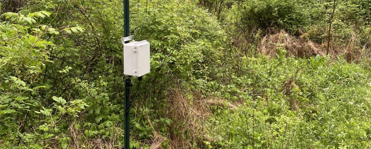Building a BirdNET Real-Time Acoustic Bird ID Station
