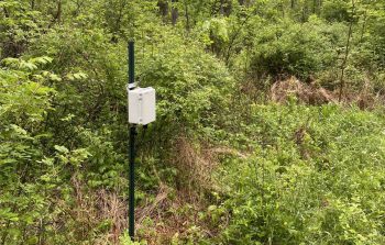 Building a BirdNET-Pi Real-Time Acoustic Bird ID Station