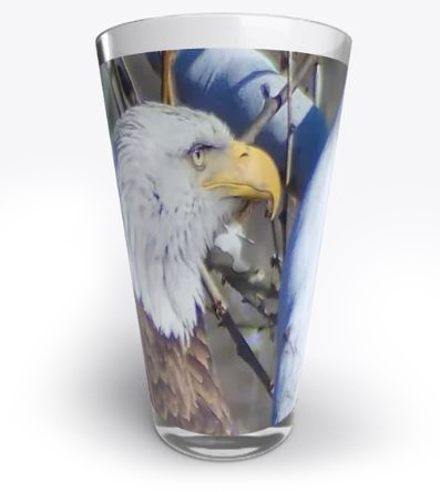 PixCams eagle glass