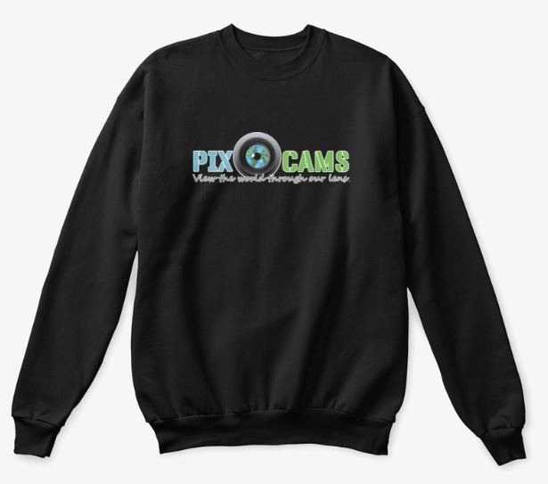 PixCams crew neck