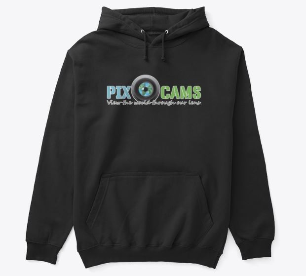 PixCams hoodie