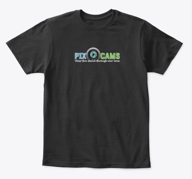 PixCams youth t-shirt
