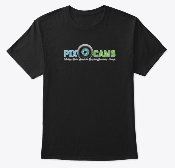 PixCams t-shirt