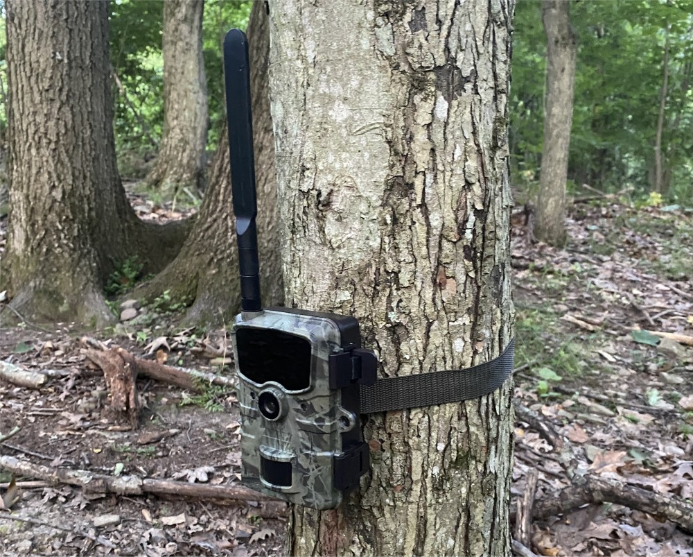 CamPark 4G Cellular Trail Camera attached to tree.