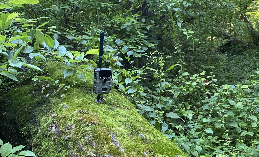 CamPark 4G Cellular Trail Camera installed on downed log.