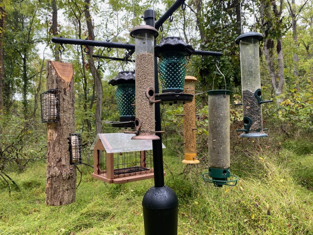 Bird feeders hanging on a pole in the woods.