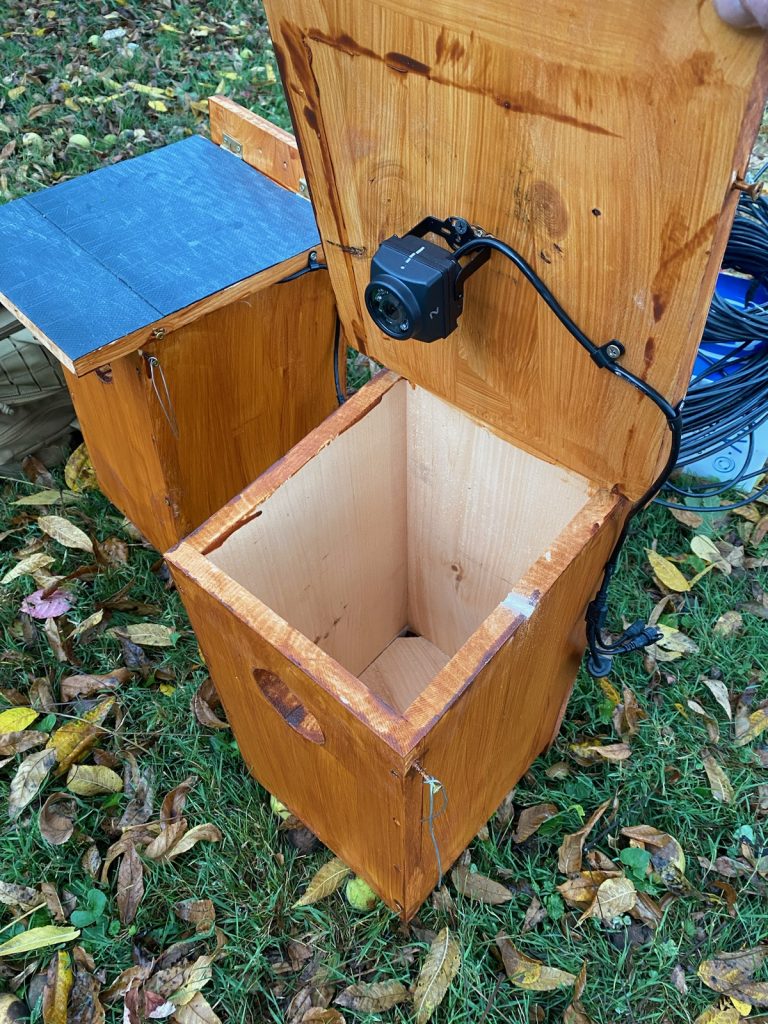 Small camera installed inside of owl box.