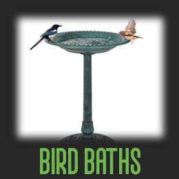 Bird Baths Button