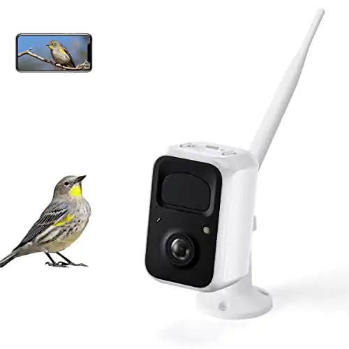 Smart AI Bird Feeder Camera Module