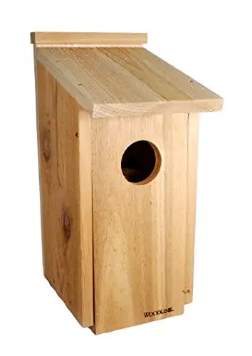 Screech Owl/Kestrel Nest Box