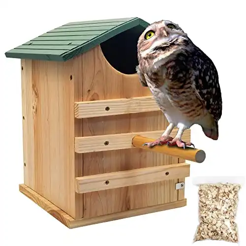 Screech Owl Box with Bird Stand
