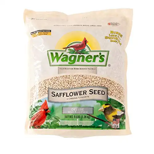 Safflower Seed Wild Bird Food, 5-Pound Bag