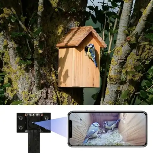 WiFi Bird Box Camera
