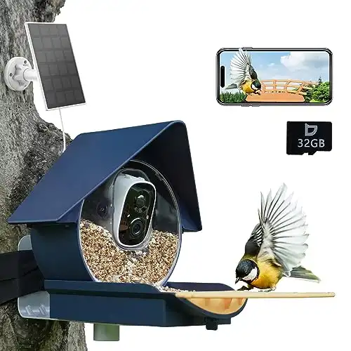 Birdkiss Smart AI Bird Feeder Camera