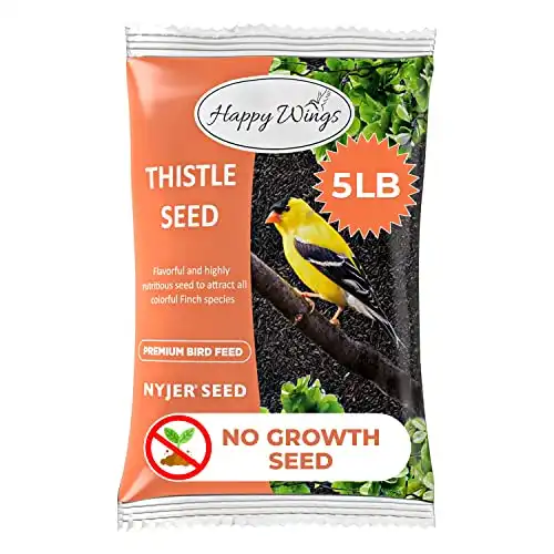 Thistle Seeds Wild Bird Food - 5 Pounds