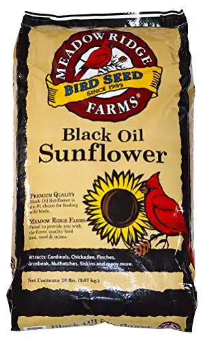 Black Oil Sunflower Bird Seed, 20-Pound Bag