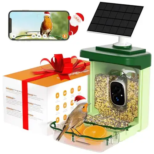 Bilantan BirdHi Smart Bird Feeder with Solar