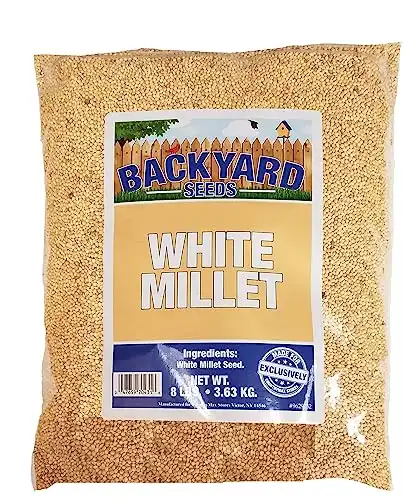 White Millet Bird Seed for Finches 8 Pounds