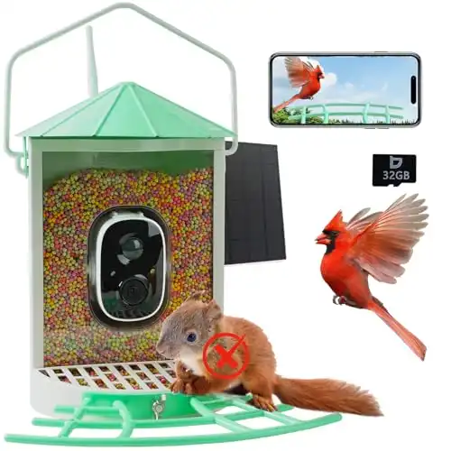 Birdkiss Metal Bird Feeder Camera Smart
