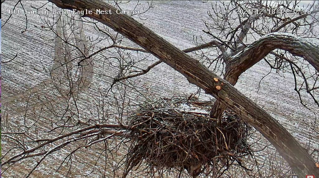 Ott Family Bald Eagle Nest PixCams, Inc.
