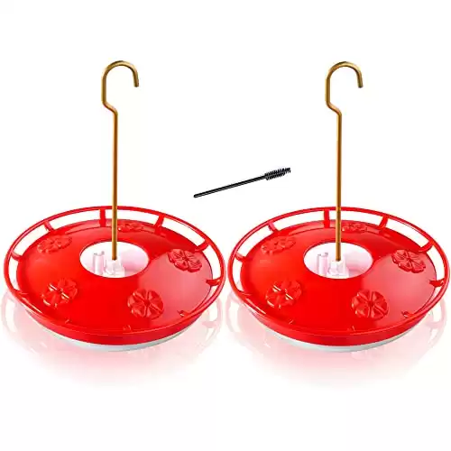 Saucer Hummingbird Feeder - 2 Pack