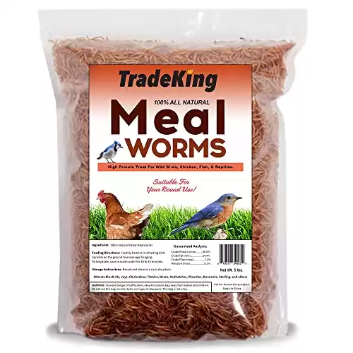 TradeKing 5 lb Dried Mealworms for Wild Birds