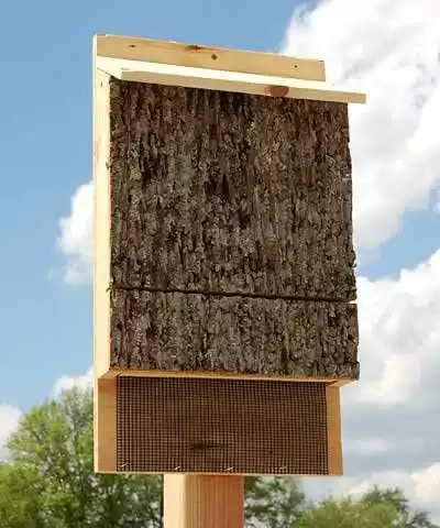 Large Triple Chamber Bat House