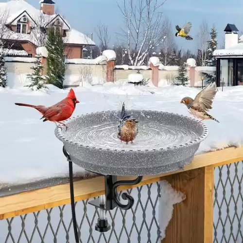 Sunvigor Heated Bird Bath Deck Mounted