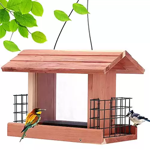 Cedar Bird Feeder with 2 Suet Feeder Cages