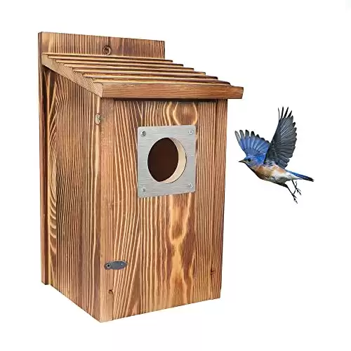 Bird House with Metal Predator Guard