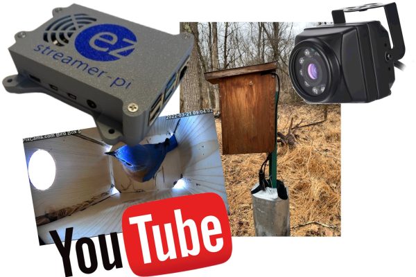 EZStreamerPi-LiveStream-BirdBox EZStreamerPi-LiveStream-BirdBox