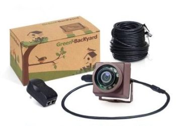 GreenBackyard GreenBackyard