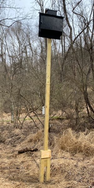 IMG_9575 (1) IMG_9575 (1)