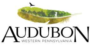 NewAudubon2024