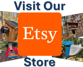 Website1 Website1