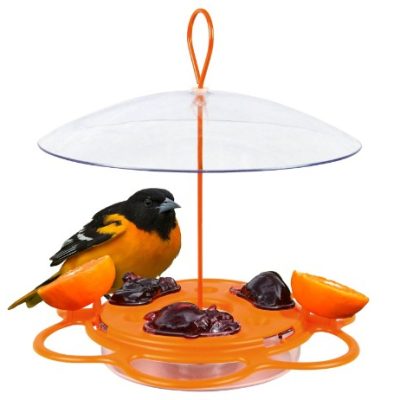 feeder feeder
