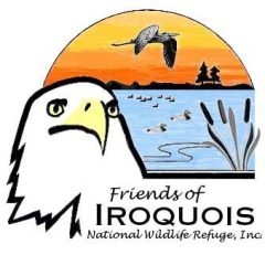 friends-of-Iroquois